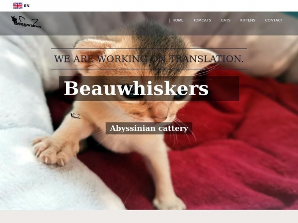 beauwhiskers.sk