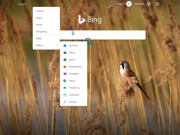 bing.com