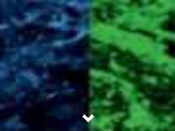 black-sheeps.eu