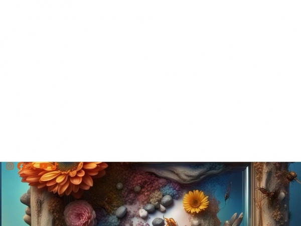 ceronioartistry.com