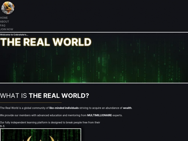 cobratate-therealworld.com