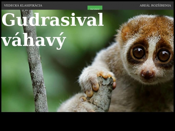 gudrasival.jecool.net