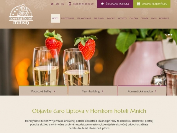 hotelmnich.sk