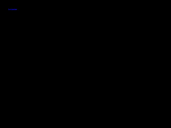 lavender-one-599442.framer.app