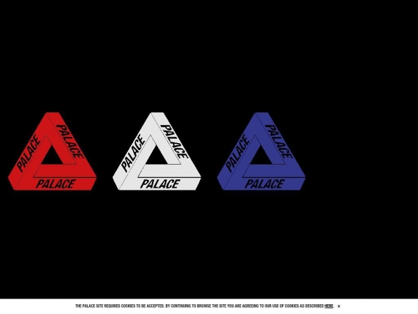 palaceskateboards.com