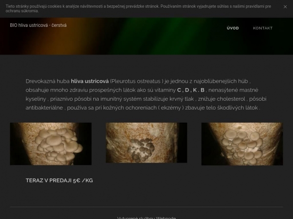rychlepozicky1.webnode.sk