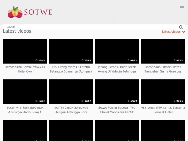 sotwe.online