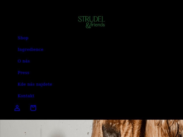 strudelandfriends.cz