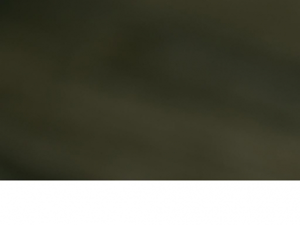 takac.xperimento.xyz