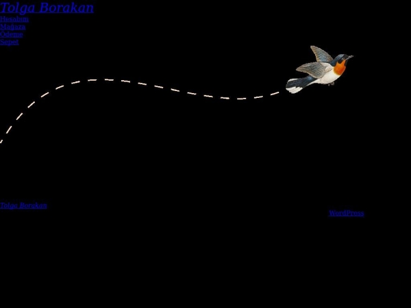 tolgaborakan.com