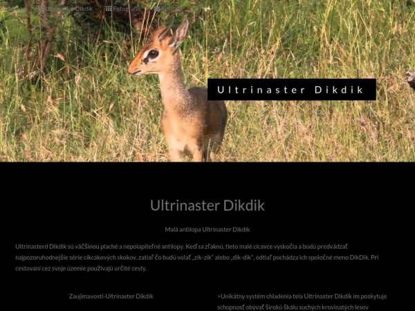 ultrinasterdikdik.000webhostapp.com