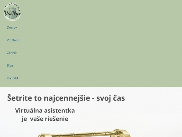 vianyx.com