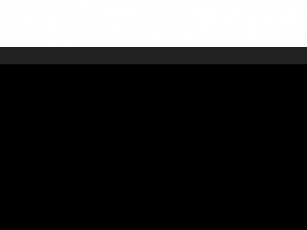 whitevpn.org