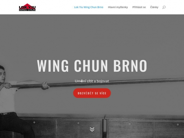 wingchunbrno.cz