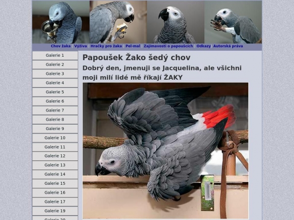 zako.biz